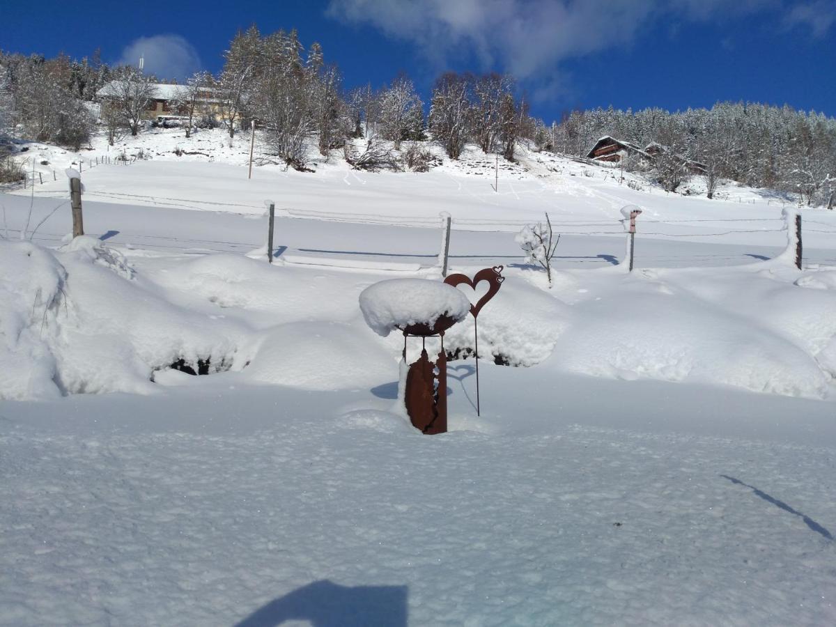 Ferienhaus Gstoderblick Seebach  エクステリア 写真