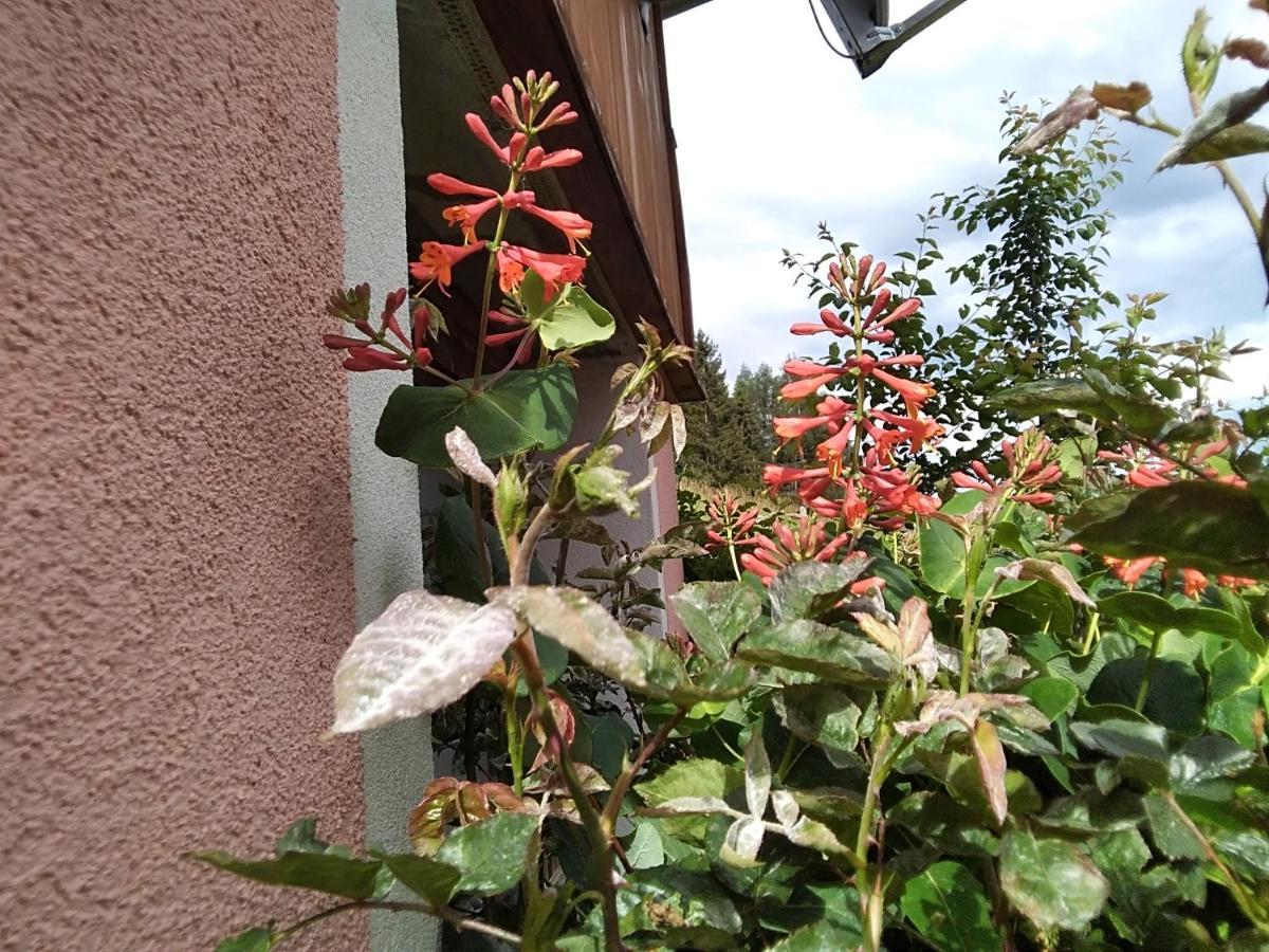 Ferienhaus Gstoderblick Seebach  エクステリア 写真
