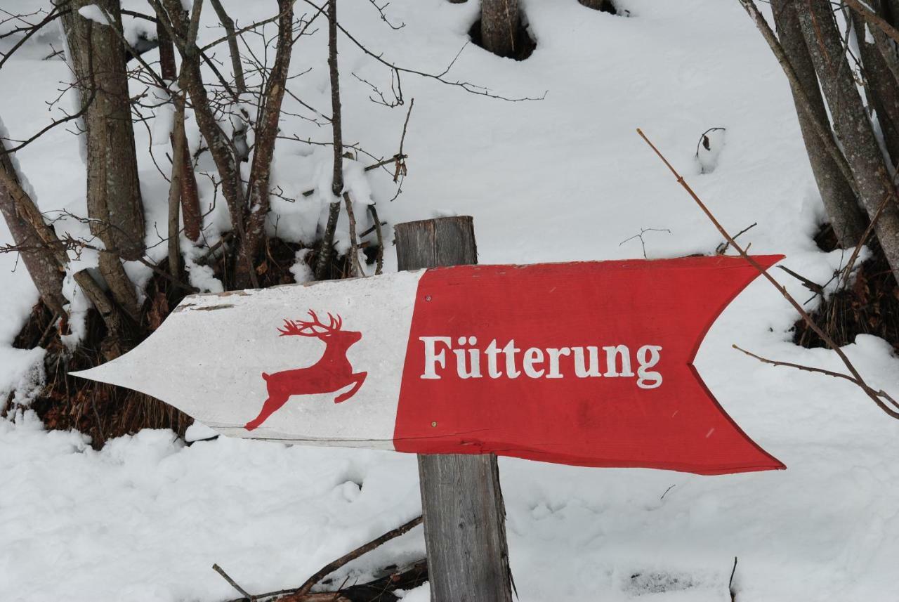 Ferienhaus Gstoderblick Seebach  エクステリア 写真