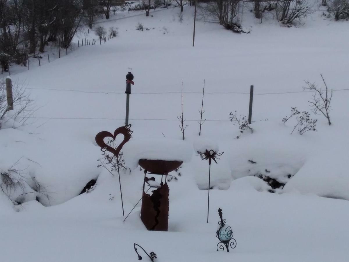Ferienhaus Gstoderblick Seebach  エクステリア 写真